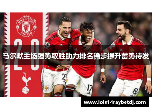 马尔默主场强势取胜助力排名稳步提升蓄势待发