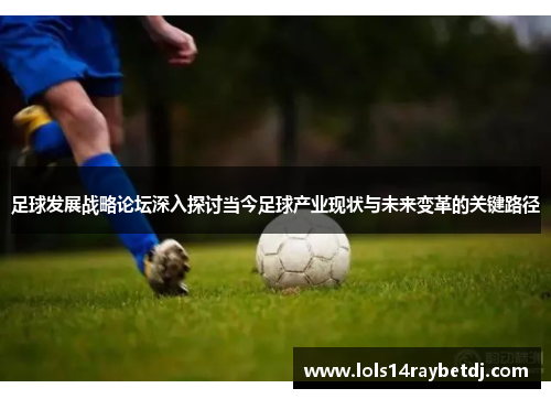 足球发展战略论坛深入探讨当今足球产业现状与未来变革的关键路径