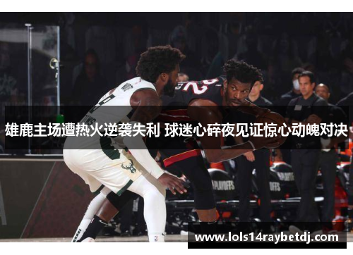 雄鹿主场遭热火逆袭失利 球迷心碎夜见证惊心动魄对决