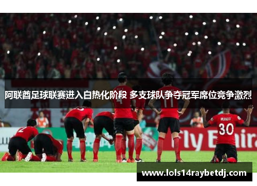 阿联酋足球联赛进入白热化阶段 多支球队争夺冠军席位竞争激烈