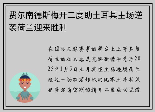 费尔南德斯梅开二度助土耳其主场逆袭荷兰迎来胜利