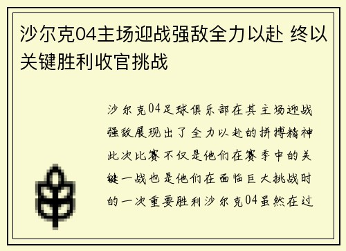 沙尔克04主场迎战强敌全力以赴 终以关键胜利收官挑战