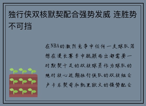 独行侠双核默契配合强势发威 连胜势不可挡