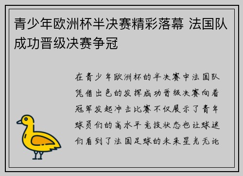 青少年欧洲杯半决赛精彩落幕 法国队成功晋级决赛争冠