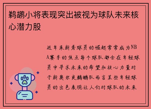 鹈鹕小将表现突出被视为球队未来核心潜力股